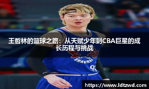bsports官网