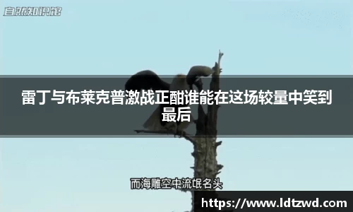 bsports官网