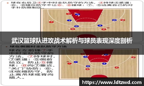 bsports必一体育